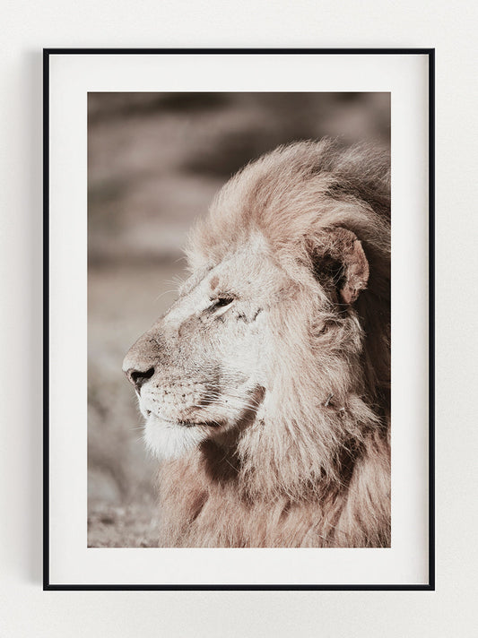 Wilde Majesteit Poster